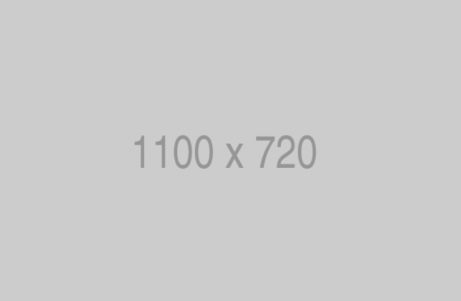 1100×720