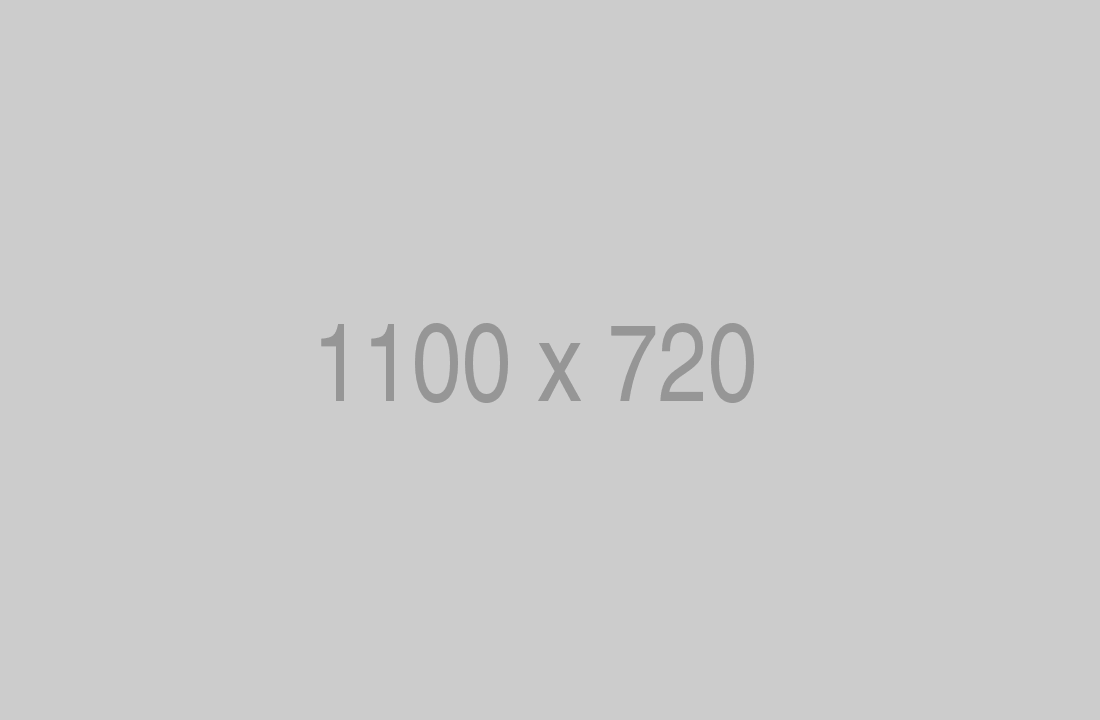 1100×720