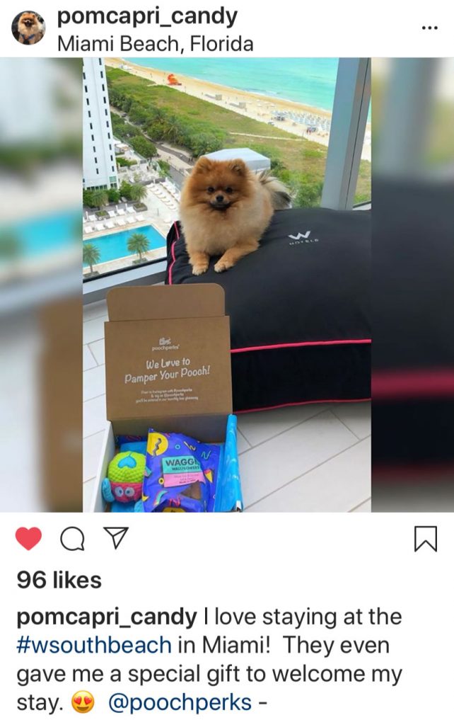 insta-candy