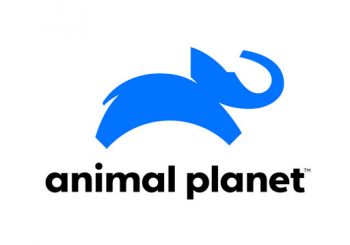 logo-animal logo-animal